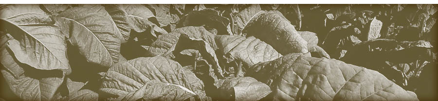 Alexander Sinkler and his family grew tobacco in Prince William County and in Bedford, Virginia